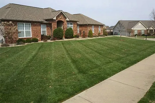 lawn care Freeburg il