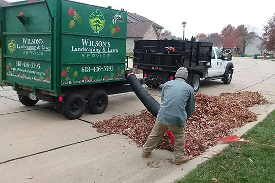 leaf removal Freeburg il