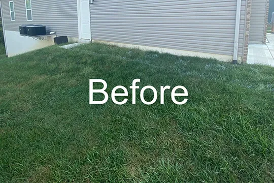 sod installation Freeburg il