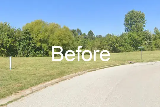 before forest mulch freeburg illinois