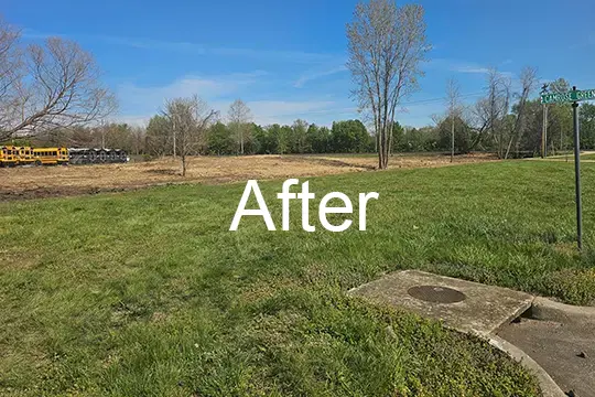 after forest mulch freeburg illinois